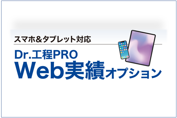 『Web実績』オプション